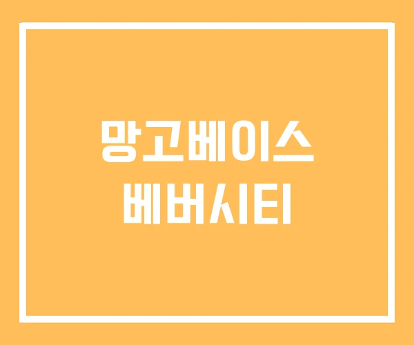 망고베이스 베버시티