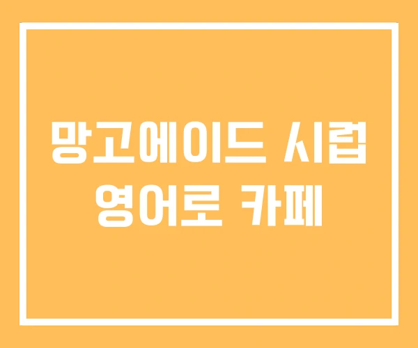 망고에이드 시럽 영어로 카페
