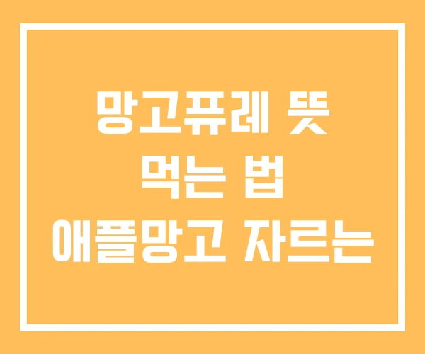망고퓨레 뜻 먹는 법 애플망고 자르는
