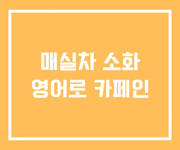 매실차 소화 영어로 카페인