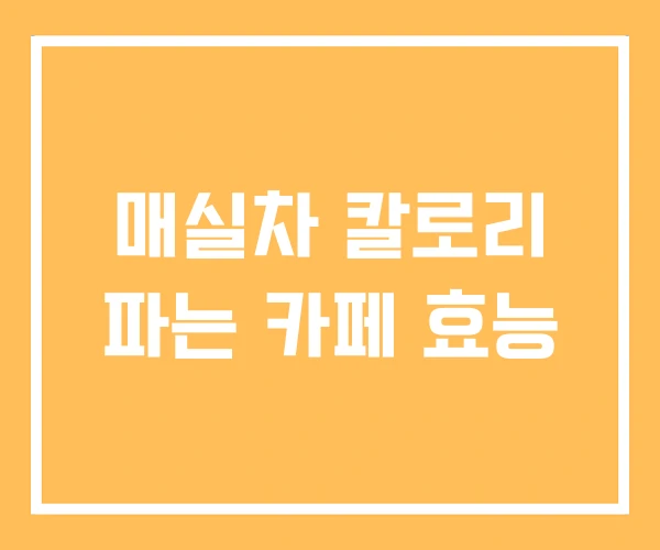 매실차 칼로리 파는 카페 효능