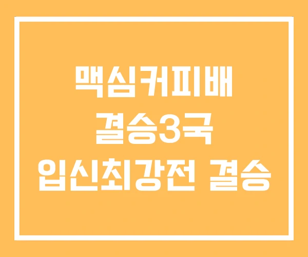 맥심커피배 결승3국 입신최강전 결승