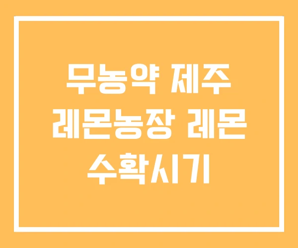 무농약 제주 레몬농장 레몬 수확시기