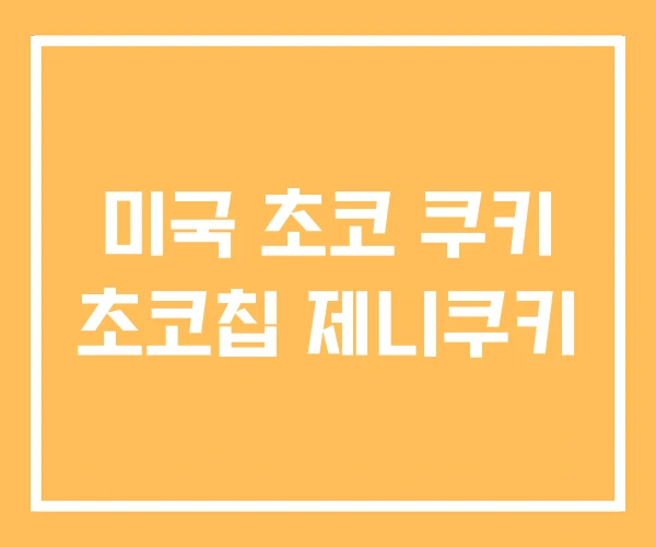 미국 초코 쿠키 초코칩 제니쿠키