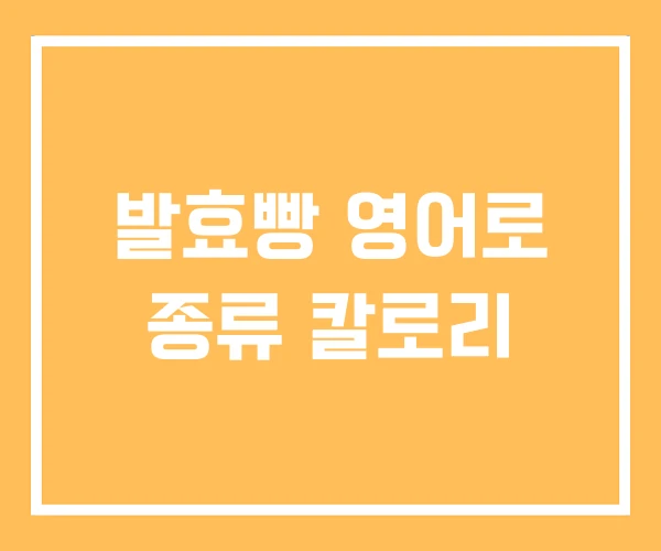 발효빵 영어로 종류 칼로리