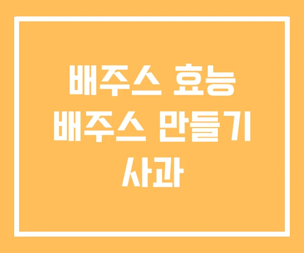 배주스 효능 배주스 만들기 사과
