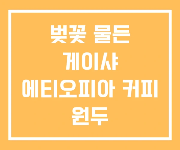 벚꽃 물든 게이샤 에티오피아 커피 원두 벚꽃 물든 게이샤 에티오피아 커피 원두