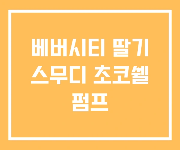 베버시티 딸기 스무디 초코쉘 펌프