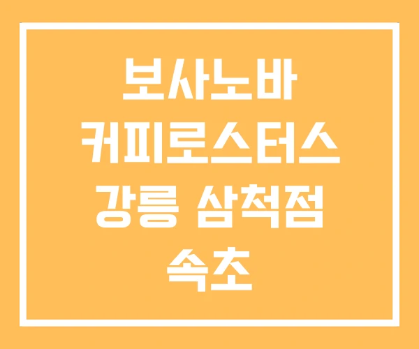 보사노바 커피로스터스 강릉 삼척점 속초 보사노바 커피로스터스 강릉 삼척점 속초