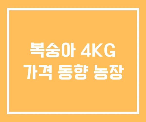 복숭아 4KG 가격 동향 농장 복숭아 4KG 가격 동향 농장