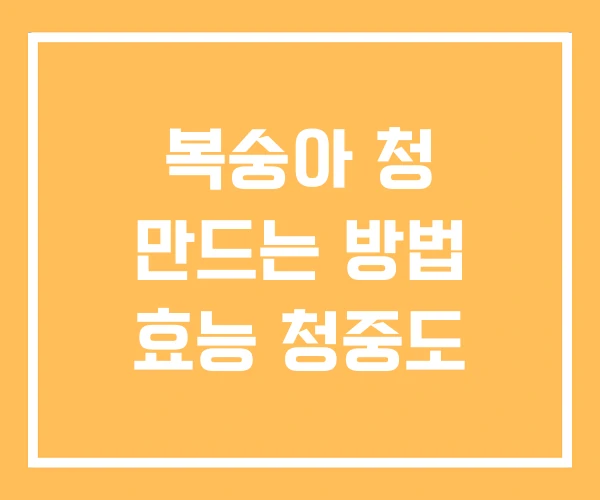 복숭아 청 만드는 방법 효능 청중도