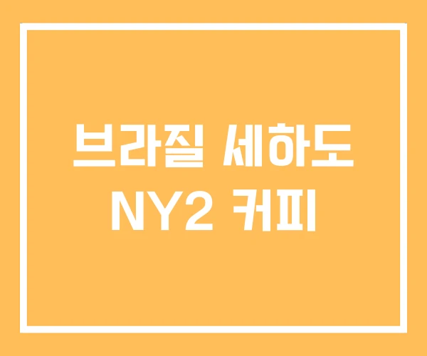 브라질 세하도 NY2 커피