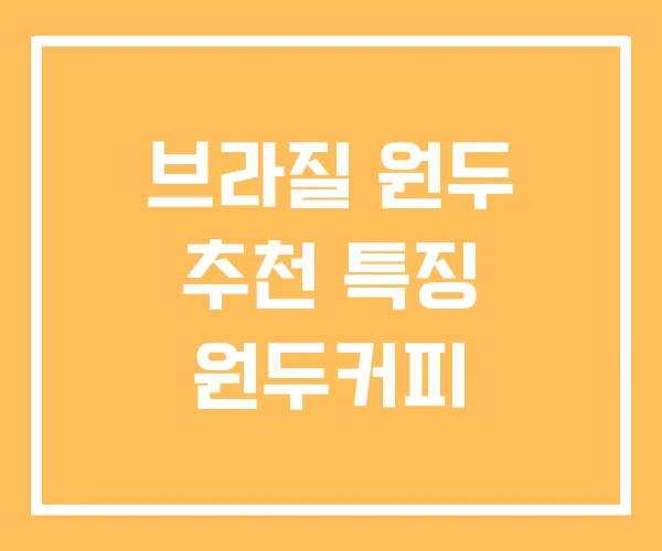 브라질 원두 추천 특징 원두커피