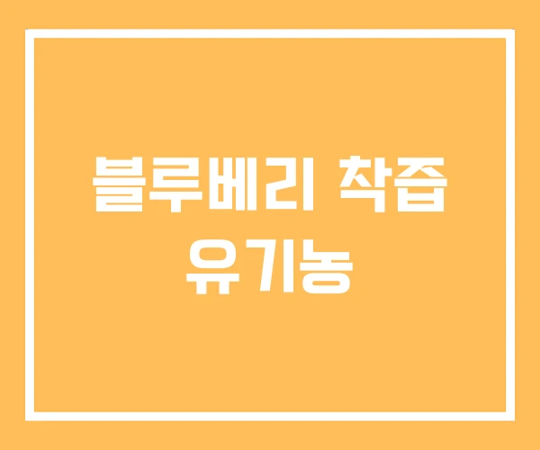 블루베리 착즙 유기농