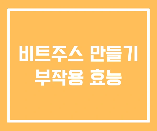 비트주스 만들기 부작용 효능