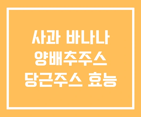 사과 바나나 양배추주스 당근주스 효능