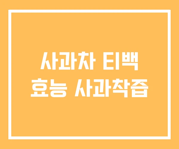 사과차 티백 효능 사과착즙