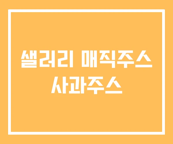 샐러리 매직주스 사과주스