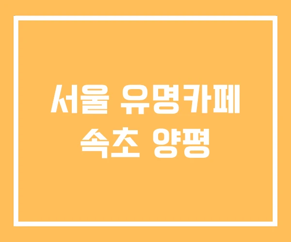 서울 유명카페 속초 양평