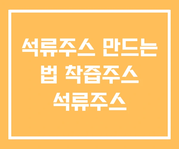 석류주스 만드는 법 착즙주스 석류주스