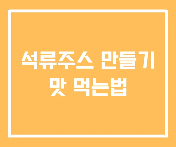 석류주스 만들기 맛 먹는법 석류주스 만들기 맛 먹는법