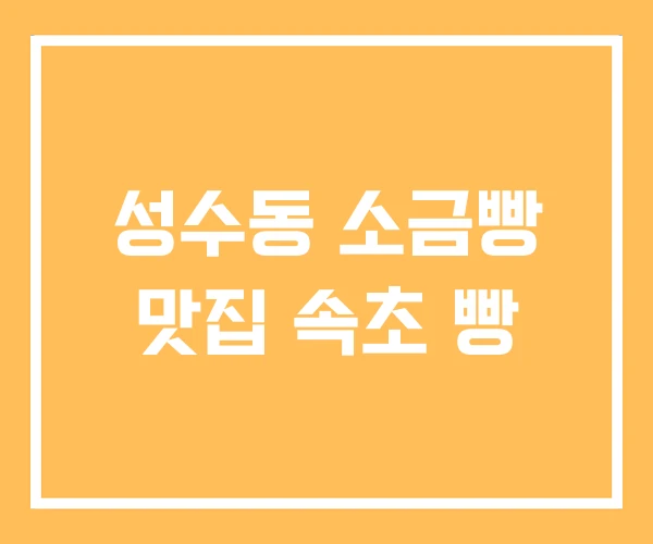성수동 소금빵 맛집 속초 빵