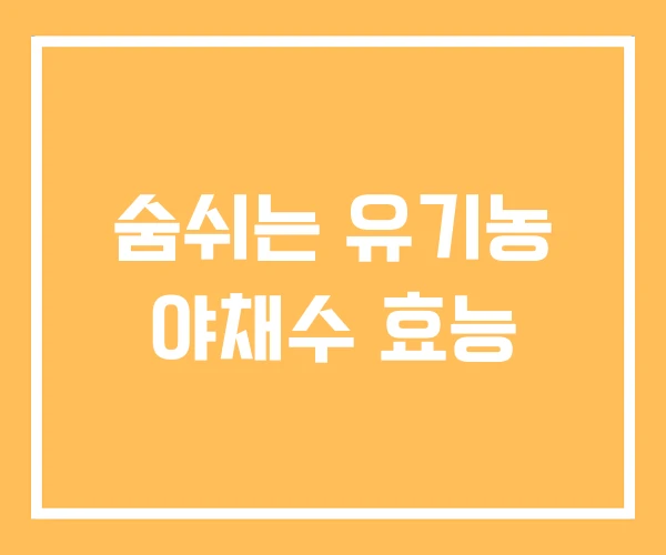 숨쉬는 유기농 야채수 효능