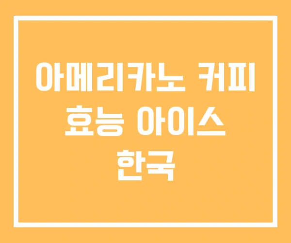 아메리카노 커피 효능 아이스 한국