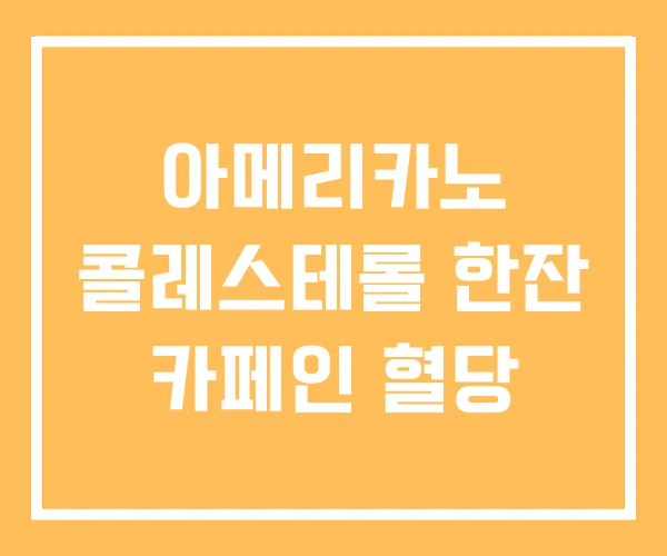 아메리카노 콜레스테롤 한잔 카페인 혈당