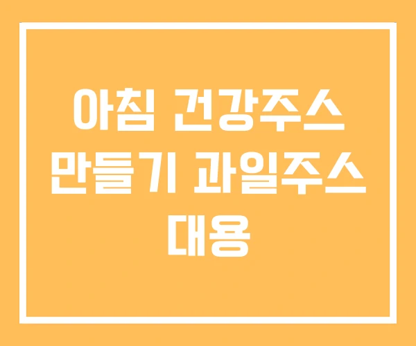 아침 건강주스 만들기 과일주스 대용