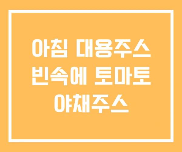 아침 대용주스 빈속에 토마토 야채주스