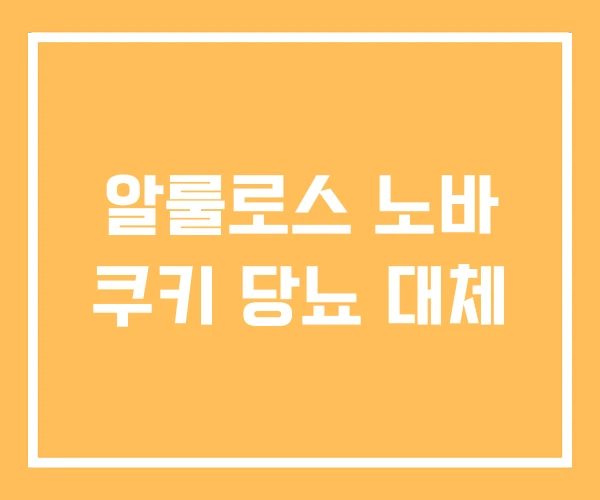 알룰로스 노바 쿠키 당뇨 대체