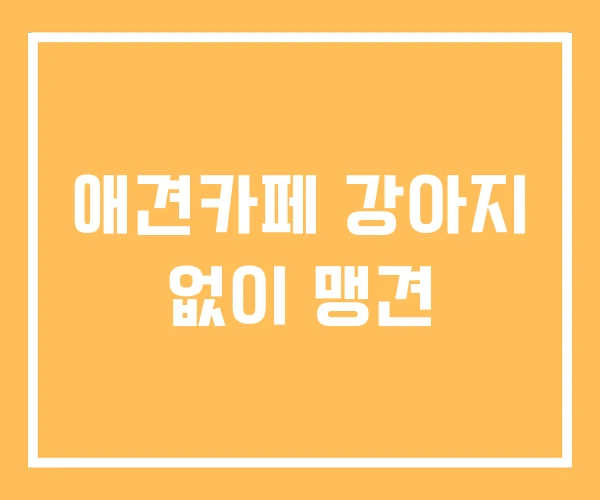 애견카페 강아지 없이 맹견 애견카페 강아지 없이 맹견