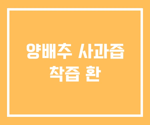 양배추 사과즙 착즙 환