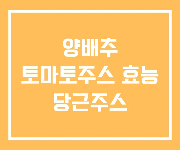 양배추 토마토주스 효능 당근주스