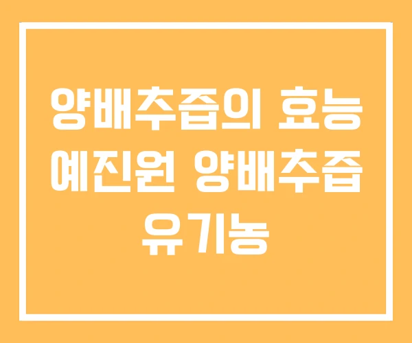양배추즙의 효능 예진원 양배추즙 유기농