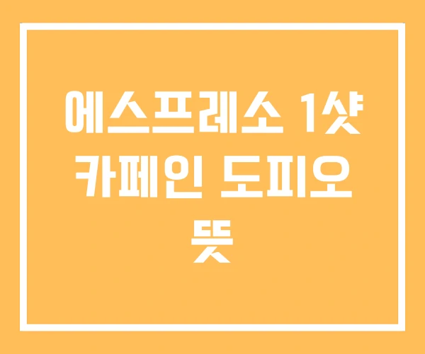 에스프레소 1샷 카페인 도피오 뜻 에스프레소 1샷 카페인 도피오 뜻