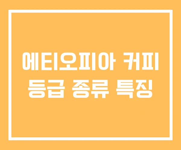 에티오피아 커피 등급 종류 특징