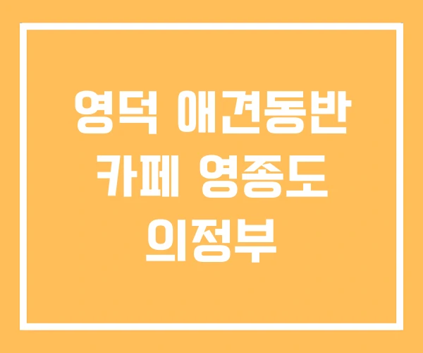영덕 애견동반 카페 영종도 의정부 영덕 애견동반 카페 영종도 의정부
