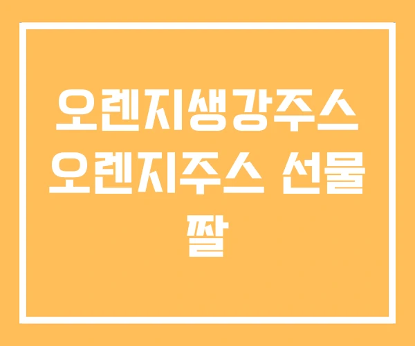 오렌지생강주스 오렌지주스 선물 짤 오렌지생강주스 오렌지주스 선물 짤