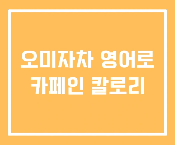 오미자차 영어로 카페인 칼로리