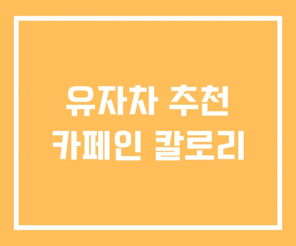유자차 추천 카페인 칼로리 유자차 추천 카페인 칼로리