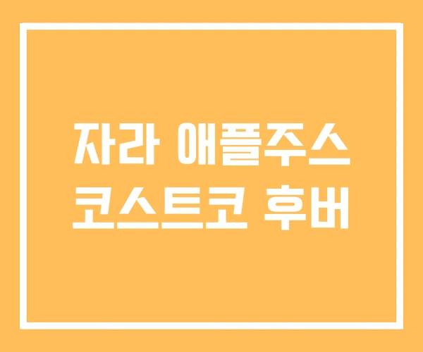 자라 애플주스 코스트코 후버