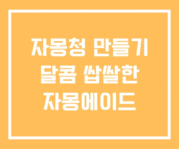 자몽청 만들기 달콤 쌉쌀한 자몽에이드