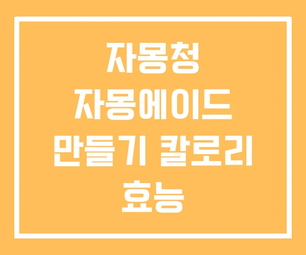 자몽청 자몽에이드 만들기 칼로리 효능