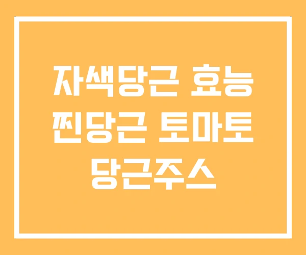 자색당근 효능 찐당근 토마토 당근주스