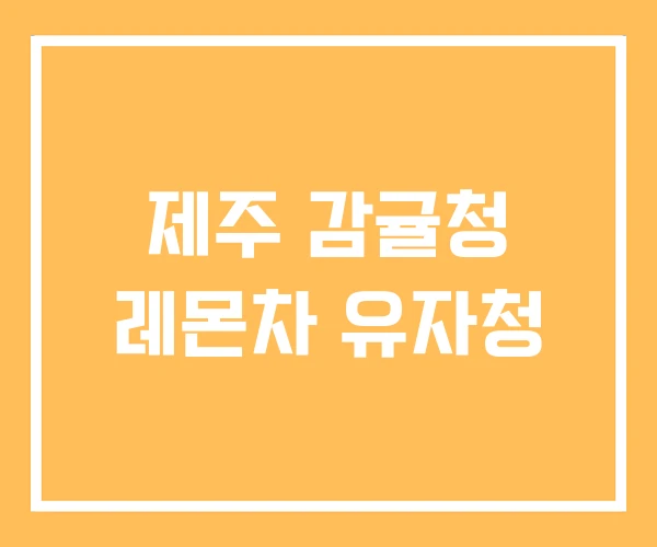 제주 감귤청 레몬차 유자청