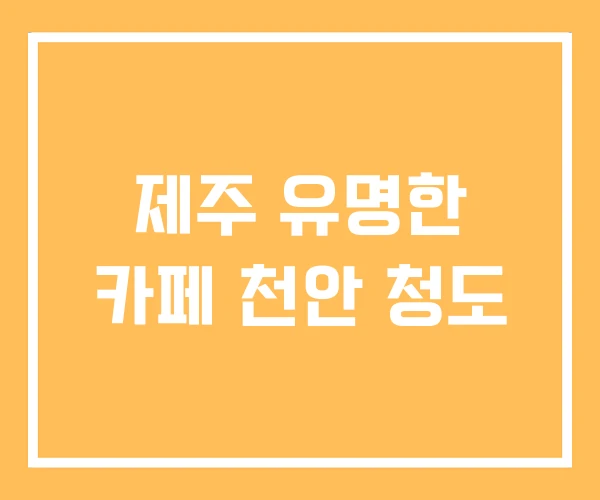 제주 유명한 카페 천안 청도