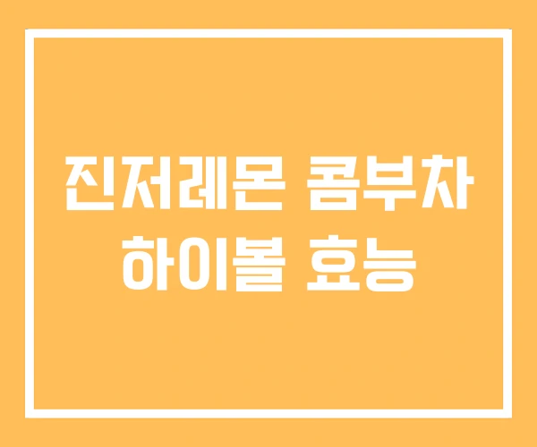 진저레몬 콤부차 하이볼 효능 진저레몬 콤부차 하이볼 효능