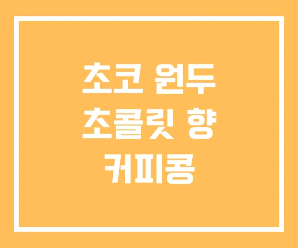 초코 원두 초콜릿 향 커피콩